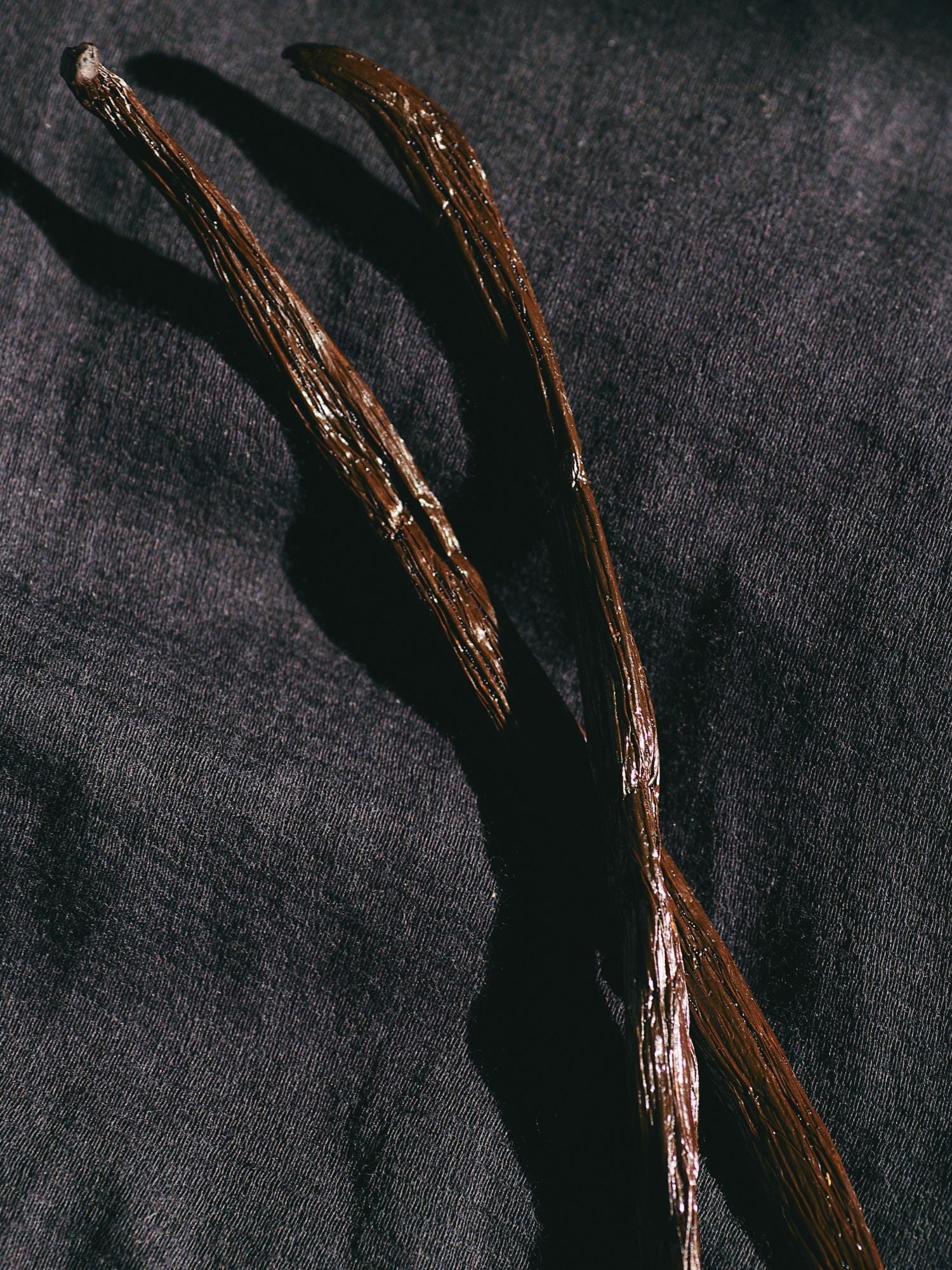 Base note illustration — Sultan De Soie MOZA ISACK — Indian papyrus, frankincense and vanilla