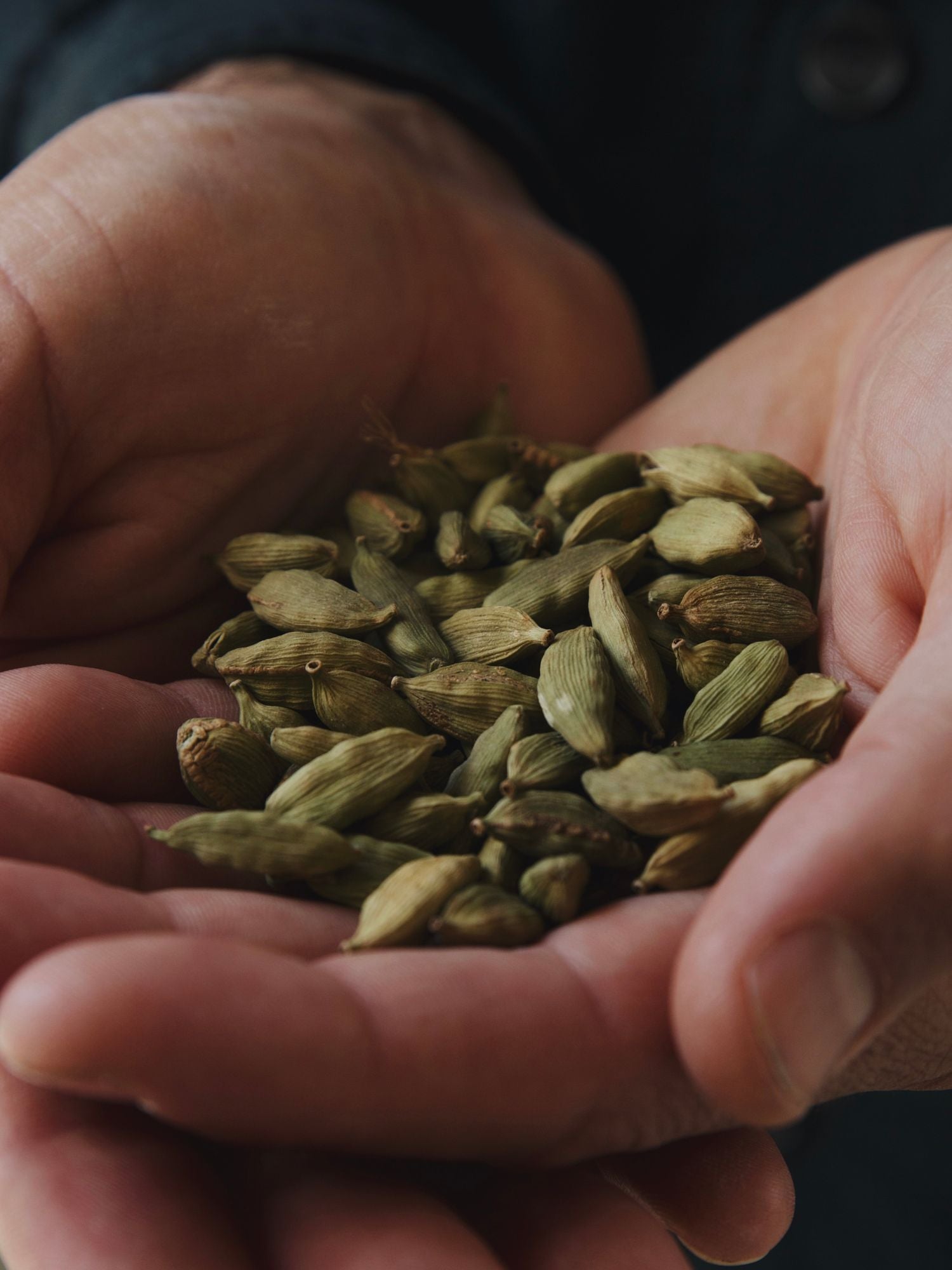 Head note illustration — Barley Nomad MOZA ISACK — cardamom, mate herb and grain notes