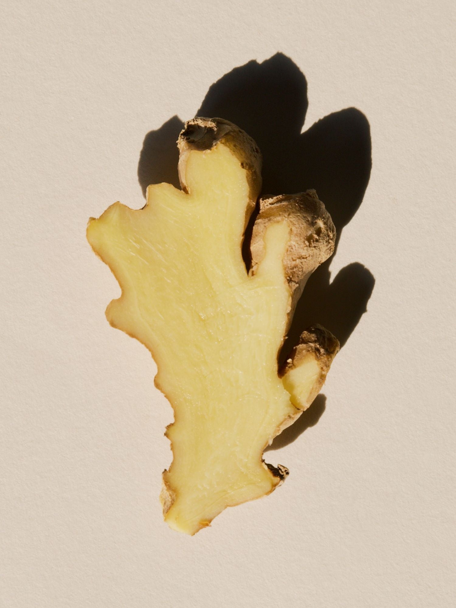Heart note illustration — Salty Breeze MOZA ISACK — ginger, violet flower and orange leaf