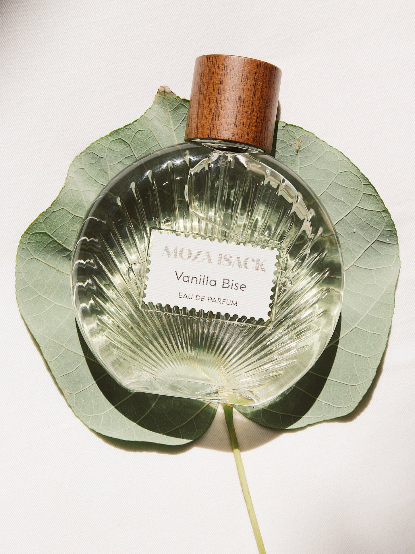 Vanilla Bise