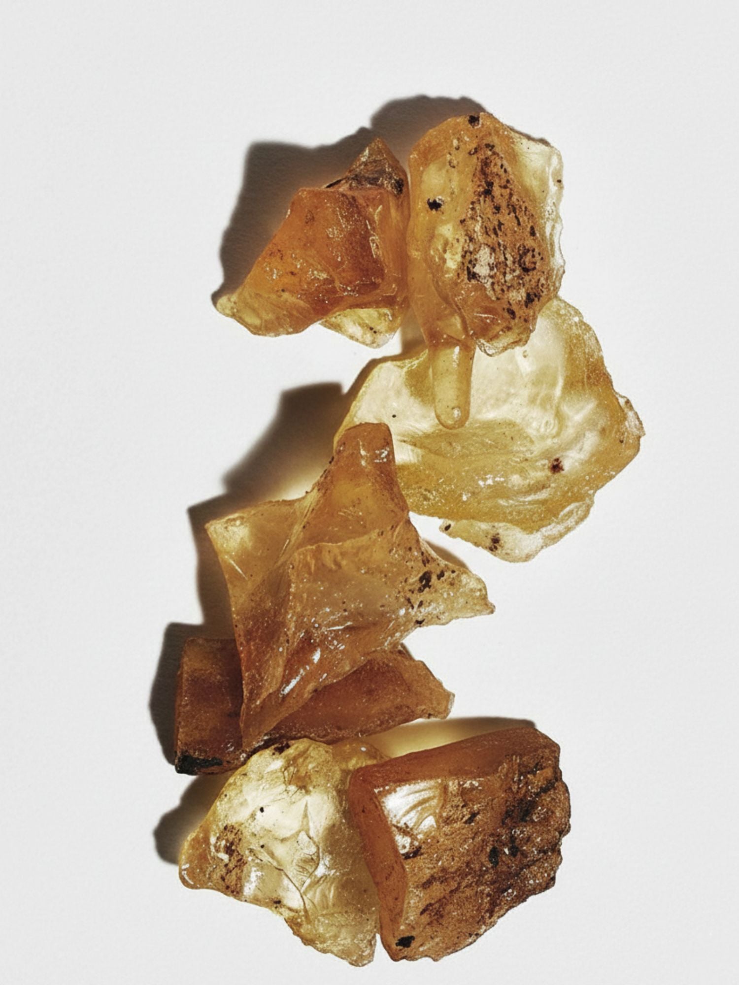 Base note illustration — Pamplemosia MOZA ISACK — patchouli, wormwood and algum wood