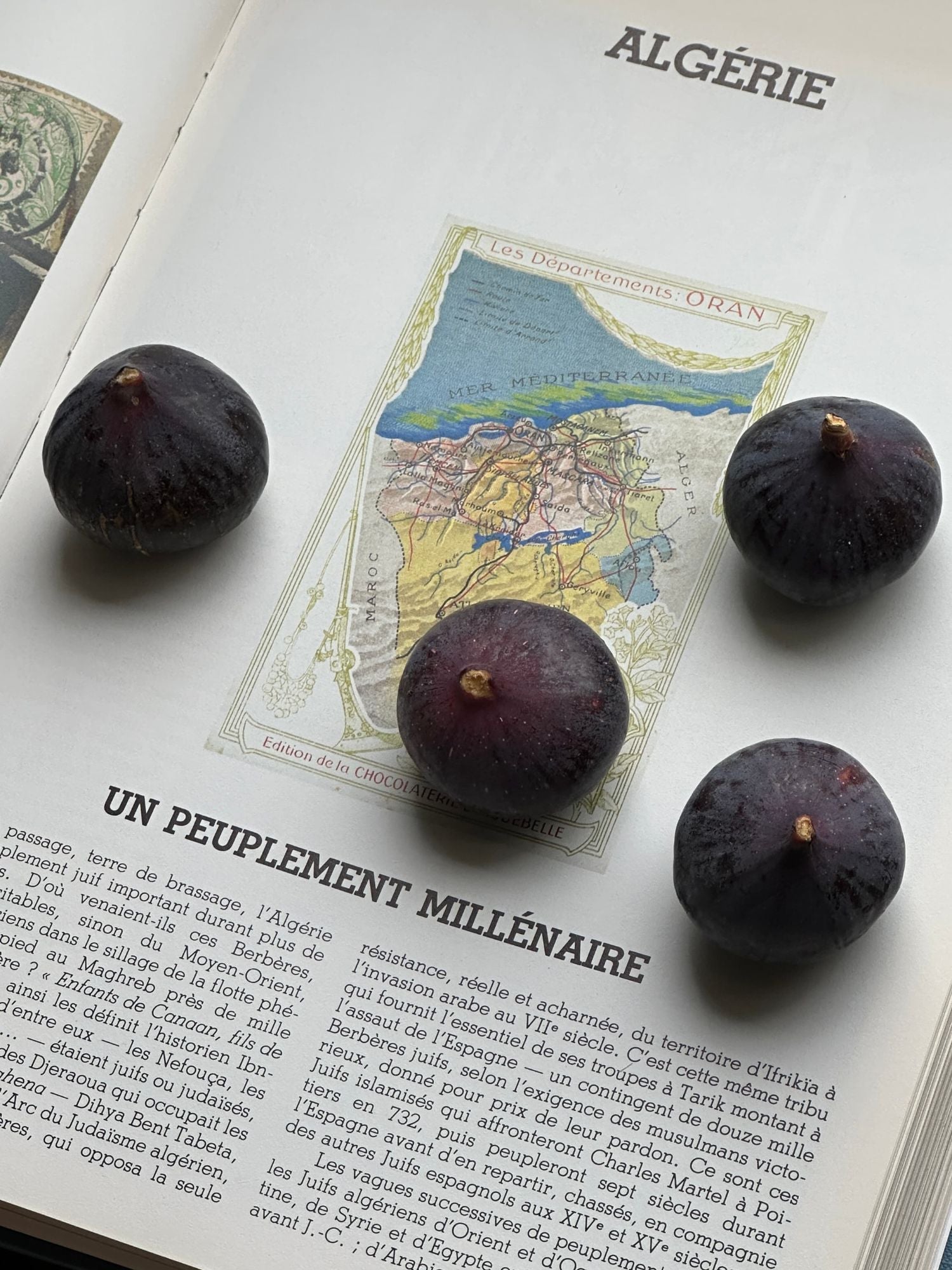 Head note illustration — Velvet Fig MOZA ISACK — fig milk, lychee and blackcurrant