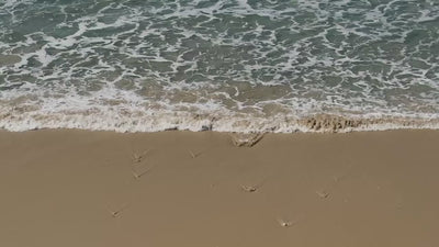 Salty Breeze MOZA ISACK — product video alternate version, fresh marine Eau de Parfum